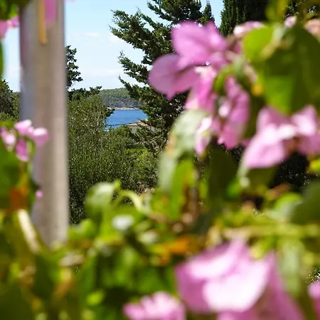 Paula 6+1 * Barbat na Rabu