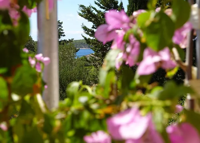 Paula 6+1 * Barbat na Rabu