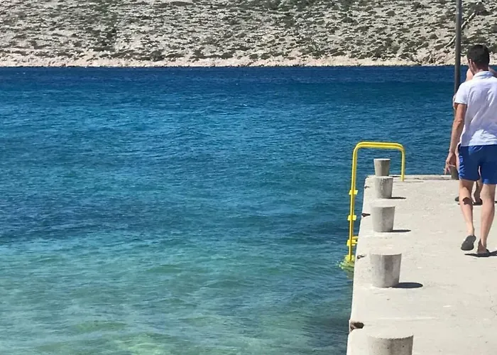 Paula 6+1 * Barbat na Rabu